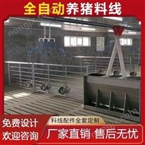 养殖自动化喂料设备 养猪设备喂料系统