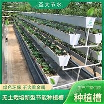 寿光无土栽培设施  圣大节水厂家供应水培基质种植PVC立体种植槽