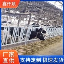 肉牛奶牛牛颈枷