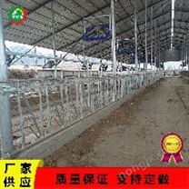 牛颈枷牛颈夹单开活位自锁式加厚脖夹配件养牛场养殖场设备