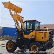 各种型号装载机 建筑工地沙石上料铲车 无级变速蔗木抓草机