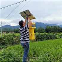 太阳能风吸式杀虫灯