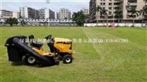 Cub Cadet 卡博科德剪草车草坪车