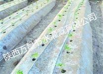 陕西万昌节水灌溉滴管带草莓膜下滴灌工程施工方案