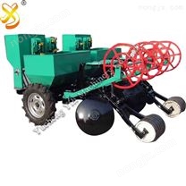 Two Row Potato Seeding And Fertilizing Machine For Sale