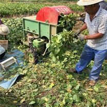 柴油毛豆采摘机 毛豆脱荚机*