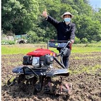 多功能小型家用菜地汽油微耕水田旋耕机