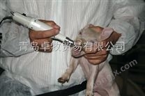 卓牧进口仔猪充电式电动磨牙器