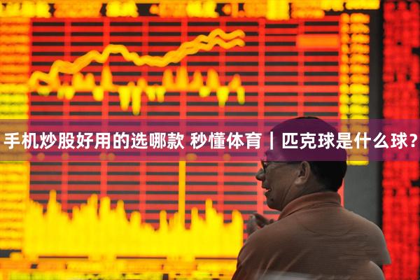 手机炒股好用的选哪款 秒懂体育|匹克球是什么球?